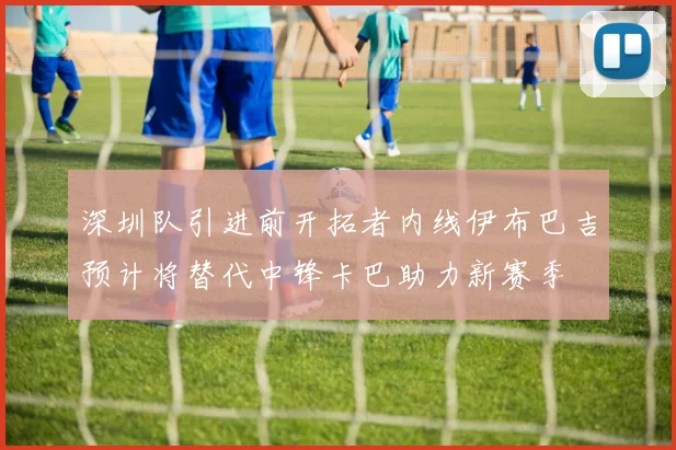 深圳队引进前开拓者内线伊布巴吉预计将替代中锋卡巴助力新赛季