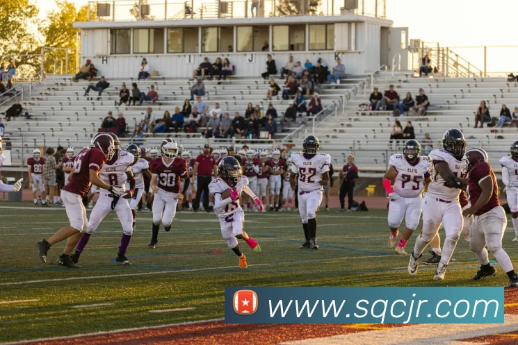 企业概况
